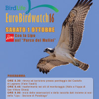 Locandina Eurobirdwatch